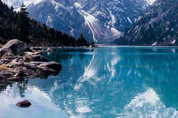 該不該用吸塵器治理臭蟲，這是一個問題！