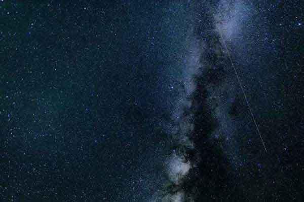 殺蟲加盟能夠提供哪些滅蟲服務