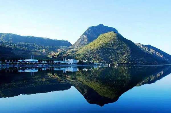 簡述三種滅蒼蠅方法的優劣