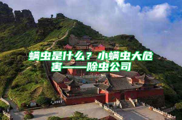 螨蟲(chóng)是什么?小螨蟲(chóng)大危害——除蟲(chóng)公司