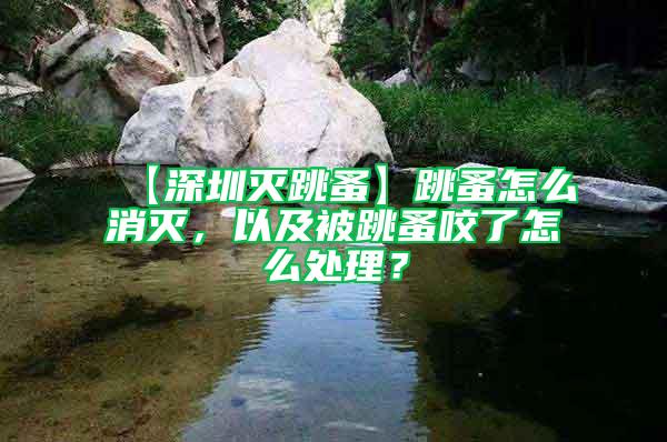 【深圳滅跳蚤】跳蚤怎么消滅,以及被跳蚤咬了怎么處理?