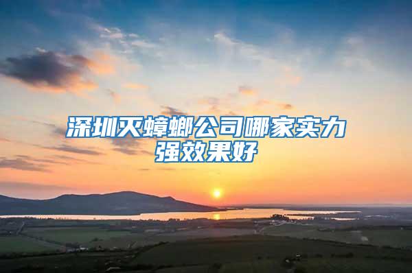 深圳滅蟑螂公司哪家實力強效果好