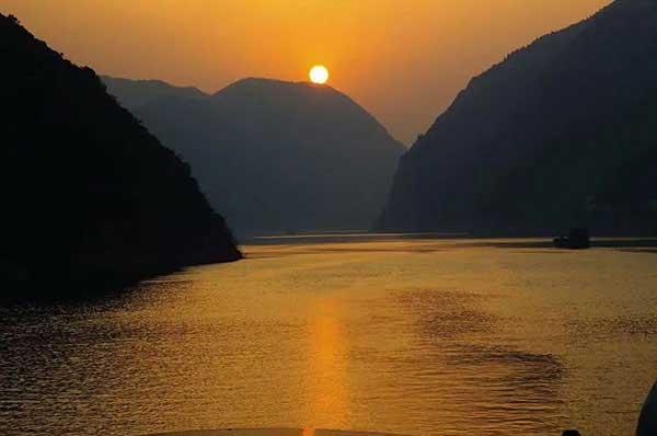 如何正確的選擇一家真正的專業殺蟲公司,衡量這2點就夠了