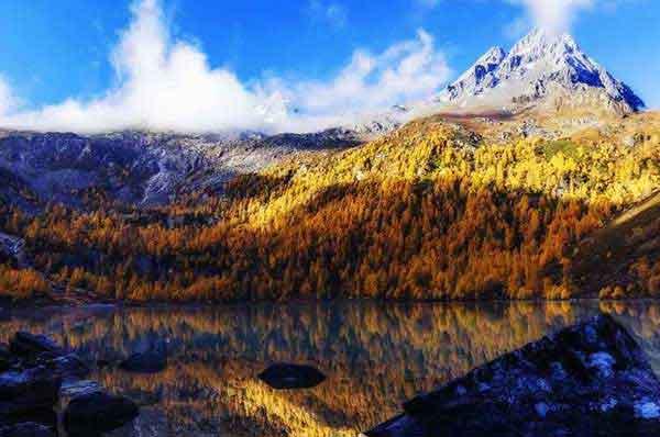 夏天來了,如何防止蚊蟲叮咬