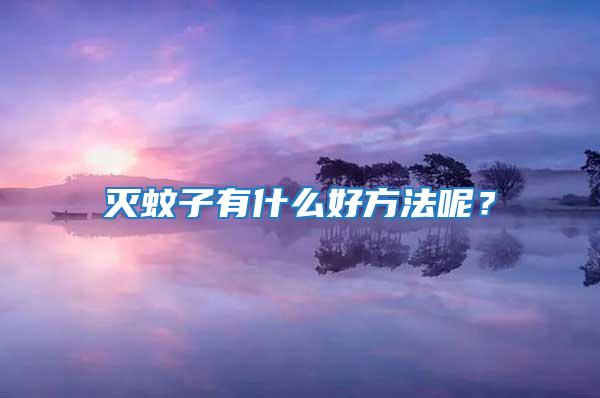 滅蚊子有什么好方法呢?