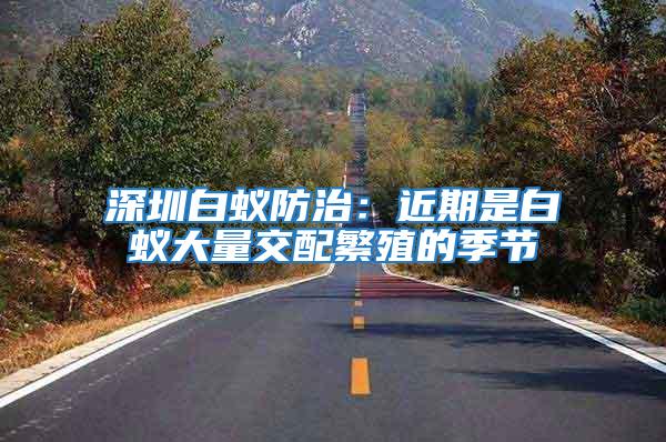 深圳白蟻防治:近期是白蟻大量交配繁殖的季節