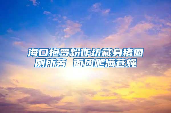 海口抱羅粉作坊藏身豬圈廁所旁 面團爬滿蒼蠅