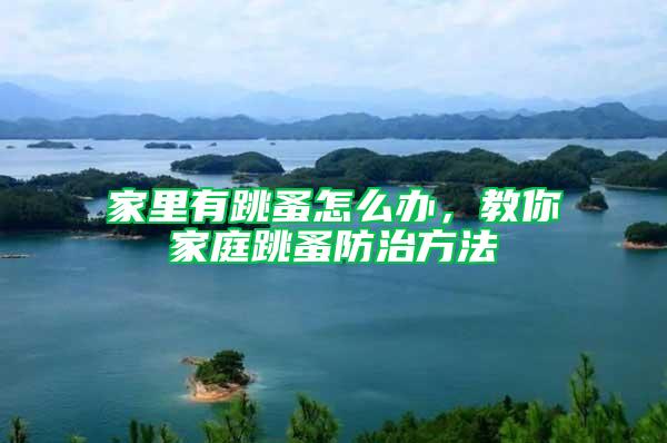 家里有跳蚤怎么辦,教你家庭跳蚤防治方法