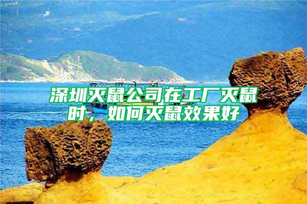 深圳滅鼠公司在工廠滅鼠時，如何滅鼠效果好