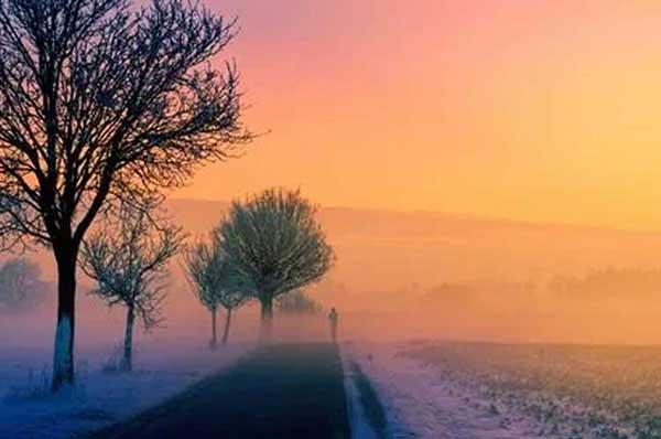 蚊子腸道里做文章！上海科學家找到阻斷傳播瘧疾新方法！