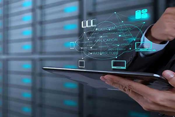 葡萄園養豬場滋生蒼蠅 成群“空襲”附近學校(圖)