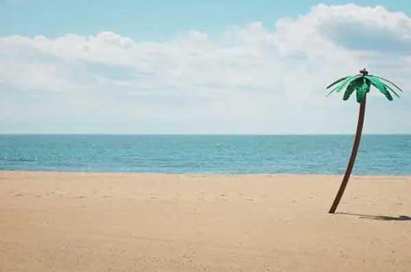 深圳消殺公司剖析白蟻發展歷程