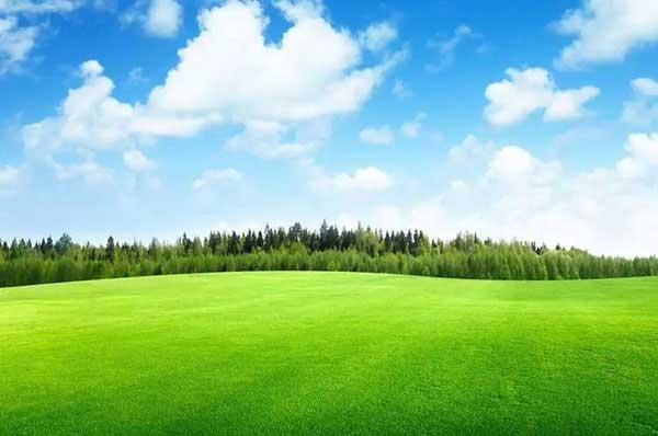 全國除四害標準