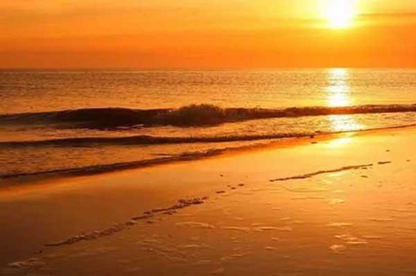 殺蟲公司與人民生產生活息息相關