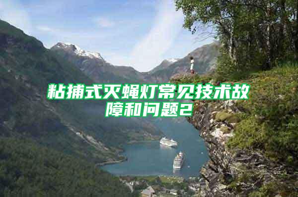 粘捕式滅蠅燈常見技術故障和問題2