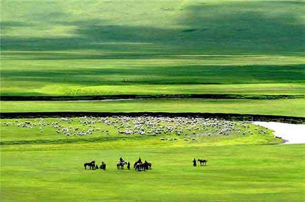 別拿蚊子不當回事兒,它們的危害可不止讓你癢得難受!