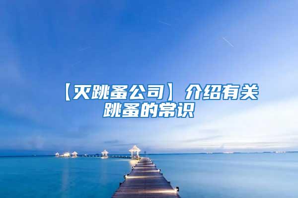 【滅跳蚤公司】介紹有關跳蚤的常識