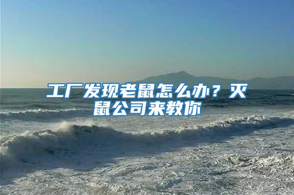 工廠發(fā)現(xiàn)老鼠怎么辦?滅鼠公司來教你