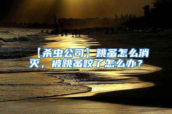 【殺蟲公司】跳蚤怎么消滅,被跳蚤咬了怎么辦?