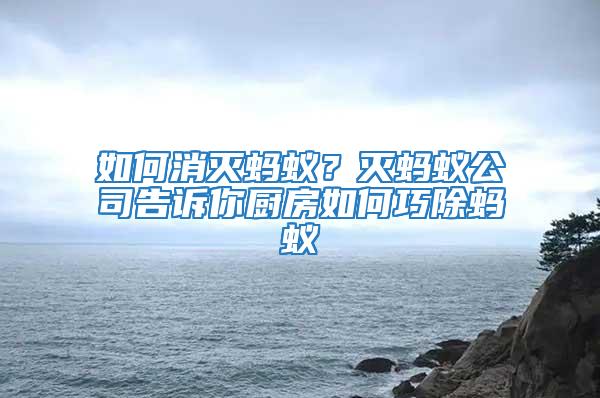 如何消滅螞蟻?滅螞蟻公司告訴你廚房如何巧除螞蟻
