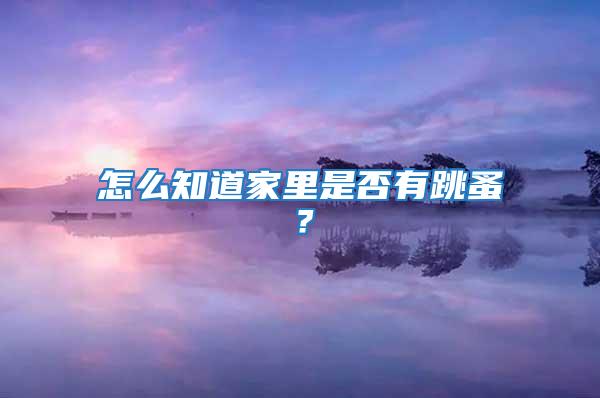 怎么知道家里是否有跳蚤?