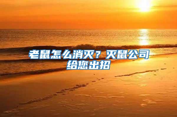 老鼠怎么消滅?滅鼠公司給您出招