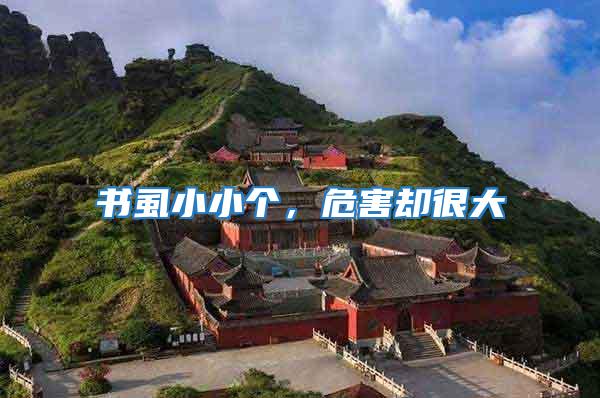 書虱小小個,危害卻很大