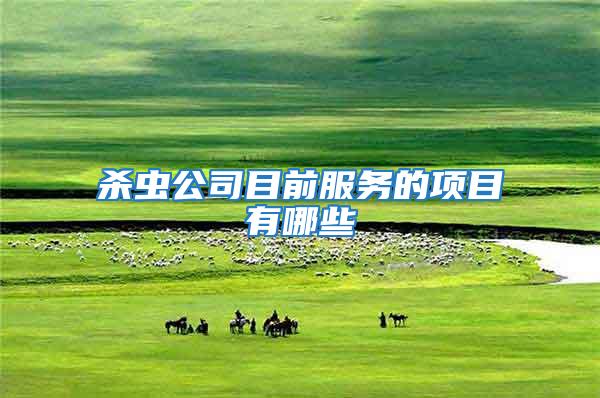 殺蟲公司目前服務的項目有哪些