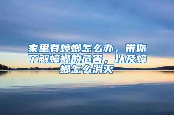 家里有蟑螂怎么辦，帶你了解蟑螂的危害，以及蟑螂怎么消滅