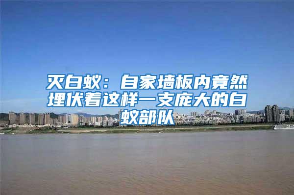 滅白蟻:自家墻板內(nèi)竟然埋伏著這樣一支龐大的白蟻部隊