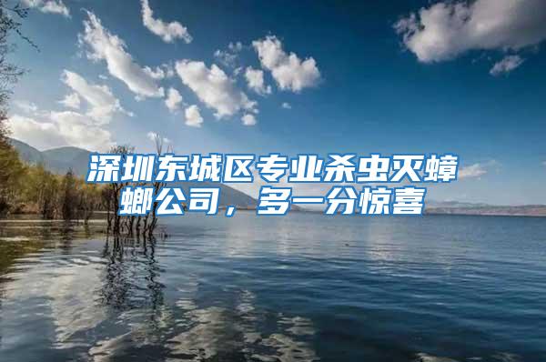 深圳東城區專業殺蟲滅蟑螂公司,多一分驚喜
