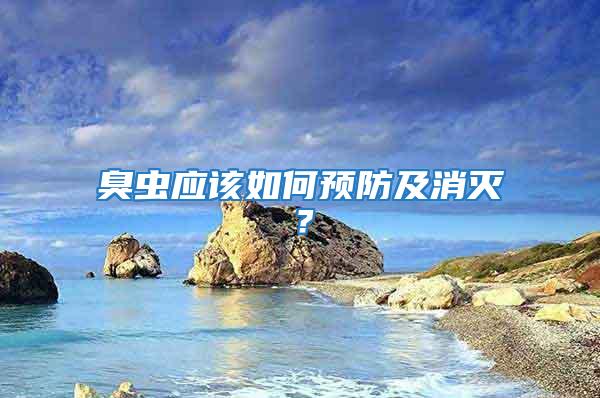 臭蟲應(yīng)該如何預(yù)防及消滅?