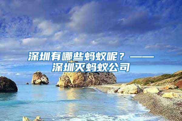 深圳有哪些螞蟻呢？——深圳滅螞蟻公司