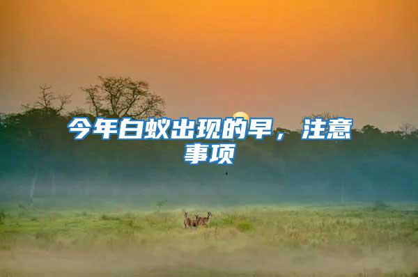 今年白蟻出現(xiàn)的早,注意事項(xiàng)