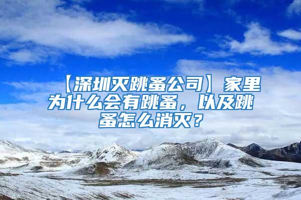 【深圳滅跳蚤公司】家里為什么會有跳蚤，以及跳蚤怎么消滅？