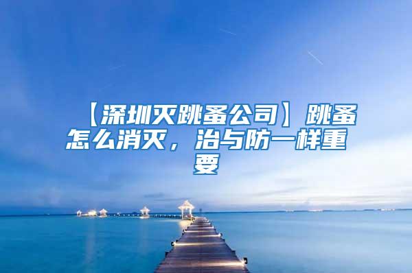 【深圳滅跳蚤公司】跳蚤怎么消滅，治與防一樣重要