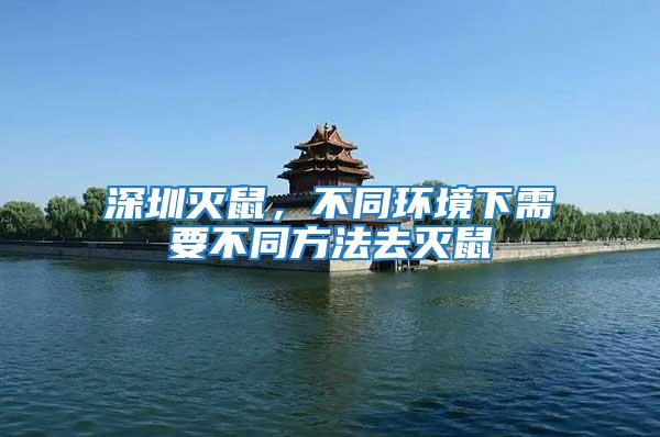 深圳滅鼠,不同環境下需要不同方法去滅鼠