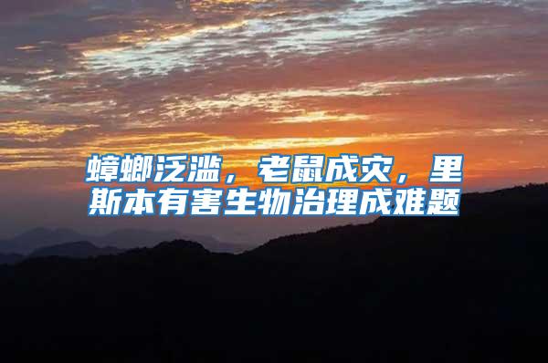 蟑螂泛濫，老鼠成災，里斯本有害生物治理成難題