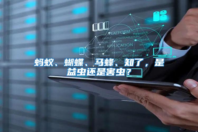 螞蟻、蝴蝶、馬蜂、知了，是益蟲還是害蟲？
