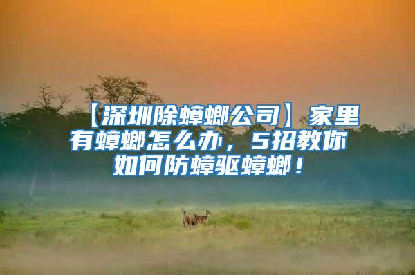【深圳除蟑螂公司】家里有蟑螂怎么辦,5招教你如何防蟑驅(qū)蟑螂!