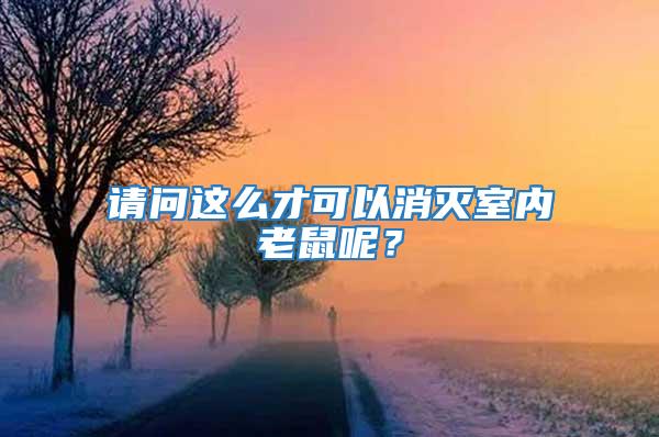 請問這么才可以消滅室內老鼠呢？