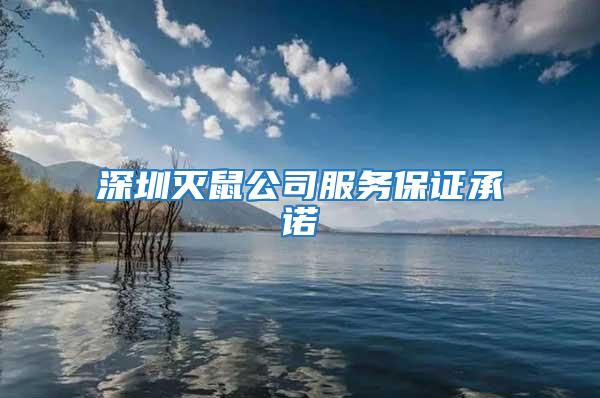 深圳滅鼠公司服務保證承諾