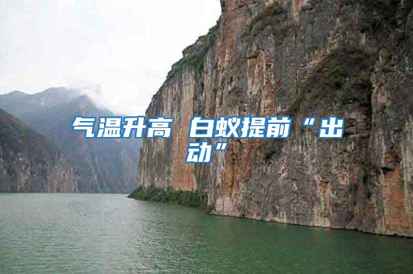 氣溫升高 白蟻提前“出動”