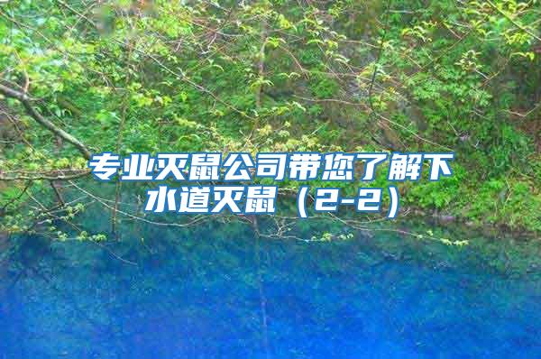 專業滅鼠公司帶您了解下水道滅鼠(2-2)