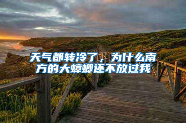 天氣都轉冷了,為什么南方的大蟑螂還不放過我