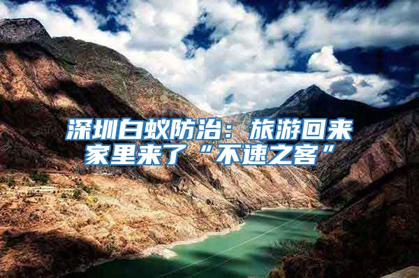 深圳白蟻防治:旅游回來家里來了“不速之客”