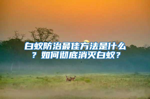 白蟻防治最佳方法是什么?如何徹底消滅白蟻?