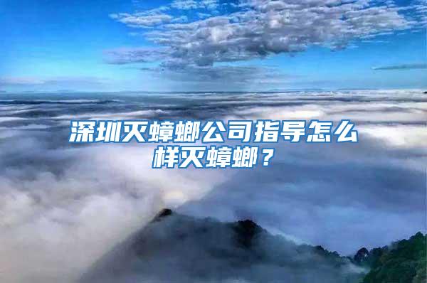 深圳滅蟑螂公司指導怎么樣滅蟑螂?