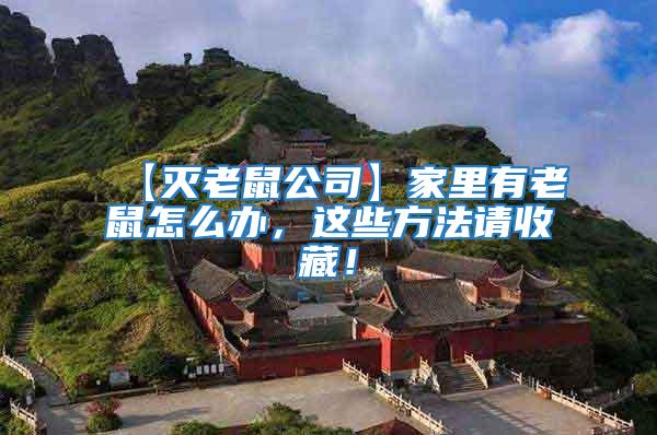 【滅老鼠公司】家里有老鼠怎么辦,這些方法請(qǐng)收藏!