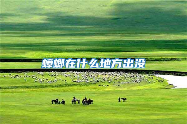 蟑螂在什么地方出沒